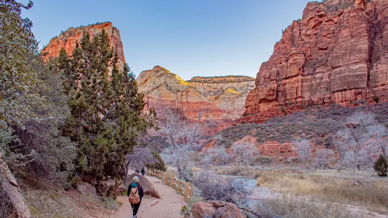 Hiker looking out across the canyon on a trail in Zion National Park