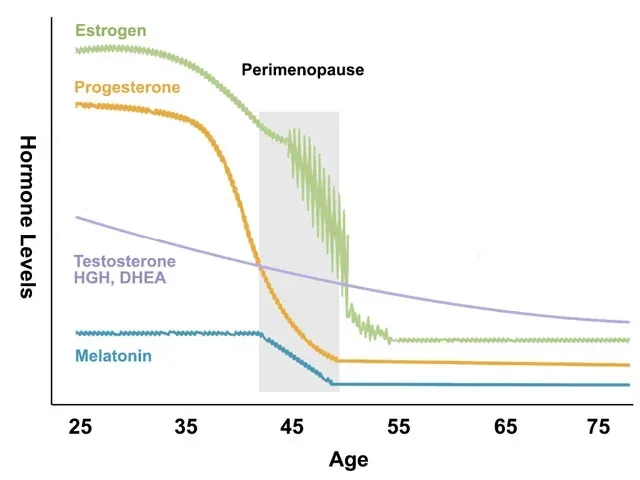 Chart showing how estrogen, progesterone, and testosterone decline with age, with the perimenopause window highlighted